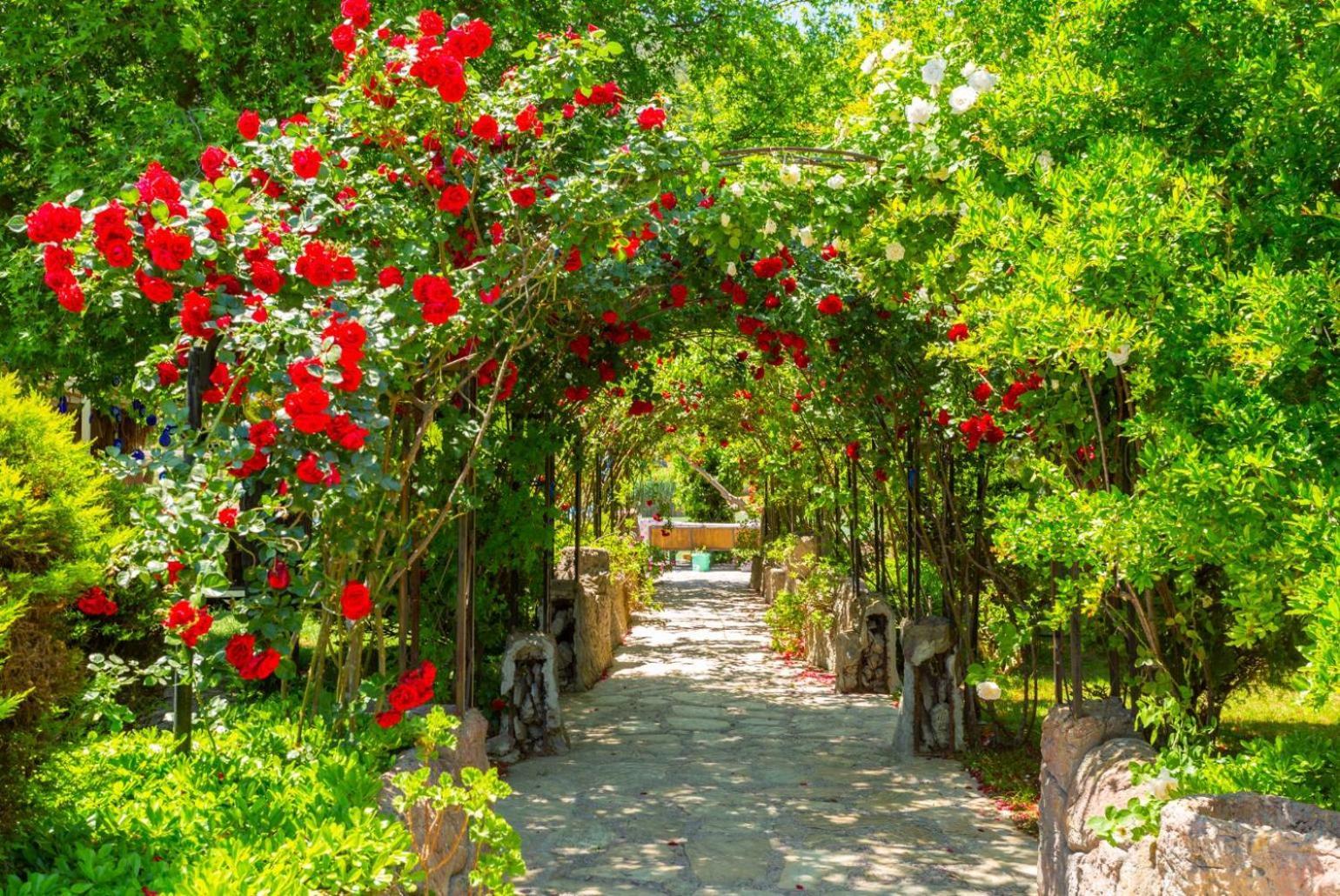 Villa Aysel Paradise Мугла Екстер'єр фото